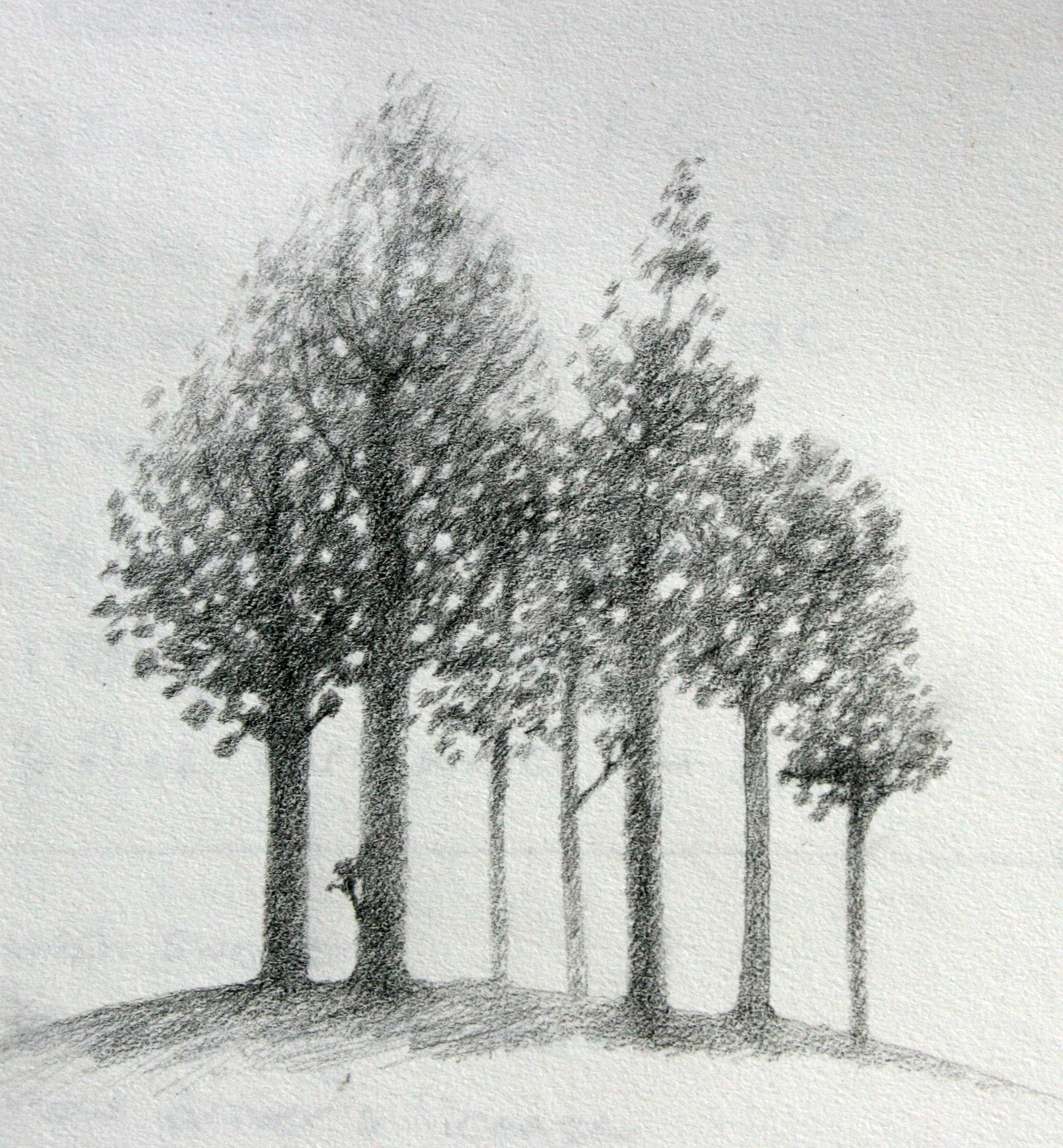 Лес карандашом легко. Зарисовки деревьев. Дерево карандашом. Пейзаж карандашом. Зарисовки деревьев карандашом.